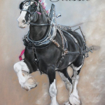 Draft Horse Classic – 2025
